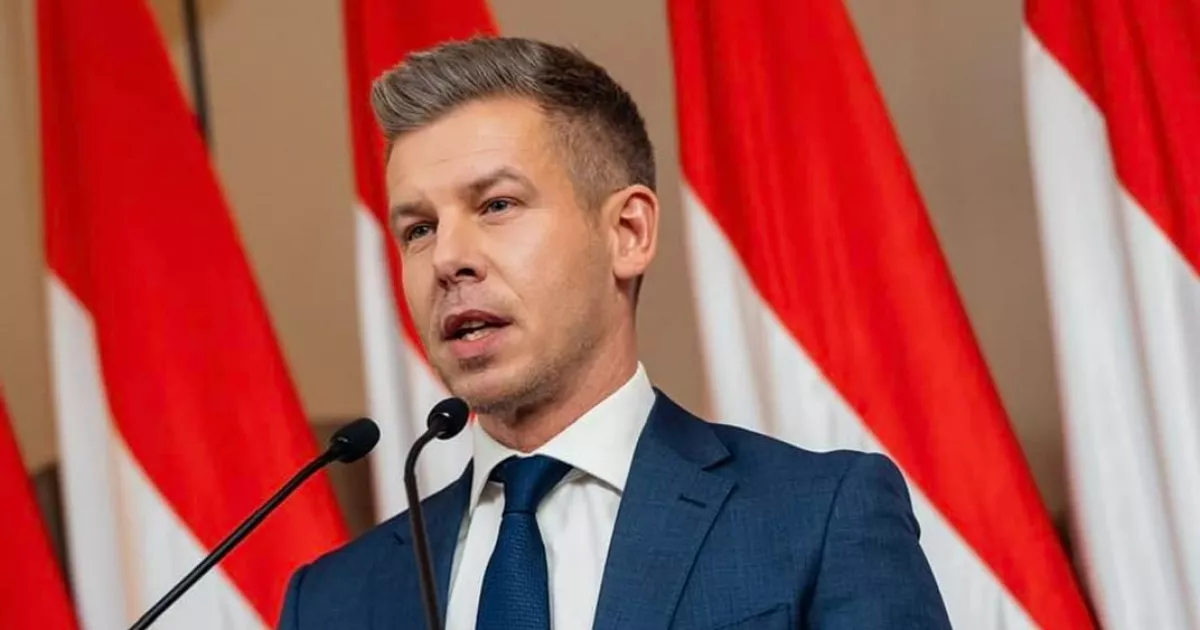 Лідер угорської опозиції: «Усі країни-кандидати мають відповідати критеріям». Чи підтримає прискорений вступ України до ЄС?