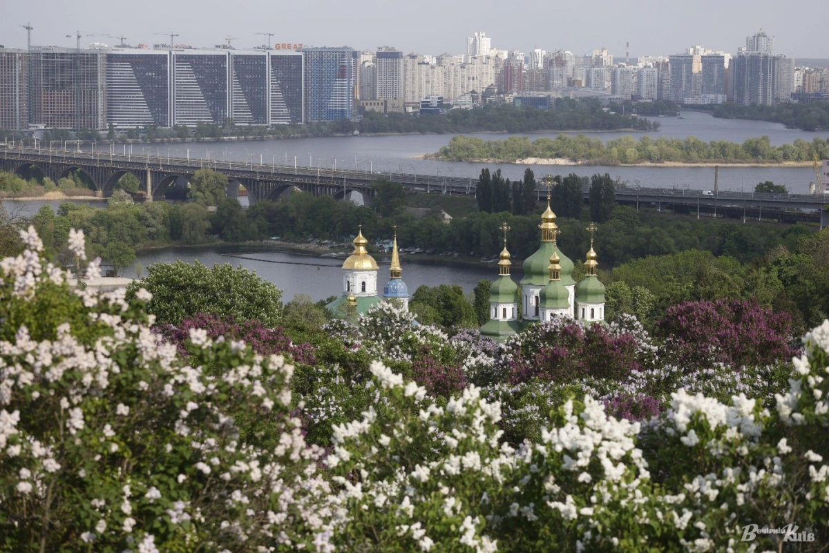 Весняна феєрія: у мережі показали, як цвіли бузки в ботсаду Гришка в 1970-х. Фото