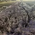 Сильні морози та ожеледиця: прогноз погоди у Києві та області на 2 лютого