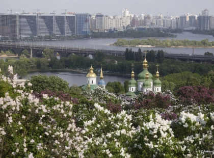 Весняна феєрія: у мережі показали, як цвіли бузки в ботсаду Гришка в 1970-х. Фото