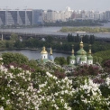Весняна феєрія: у мережі показали, як цвіли бузки в ботсаду Гришка в 1970-х. Фото