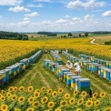Вхідний поріг у бізнес: фінансовий розрахунок інвестицій у дерев'яні вулики проти ППУ на старті пасіки на 20 сімей