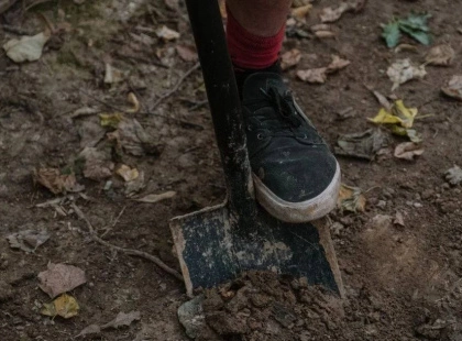 Чудодійний розчин: дві таблетки на відро води