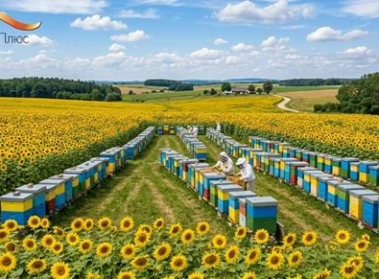 Вхідний поріг у бізнес: фінансовий розрахунок інвестицій у дерев'яні вулики проти ППУ на старті пасіки на 20 сімей
