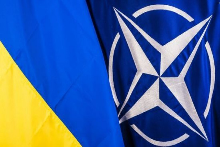 У НАТО зробили заяву про план Залужного на війну: який сюрприз чекає на Путіна (GlavPost)