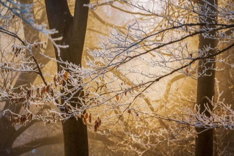 Морозна погода без опадів: прогноз на 5 грудня (GlavPost)