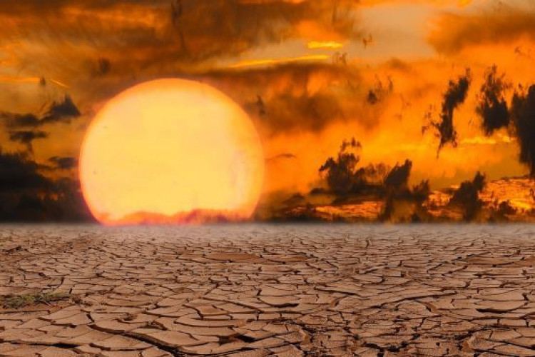 Земля знемагає від спеки: "ера кипіння" планети триватиме 50 тисяч років  (GlavPost)