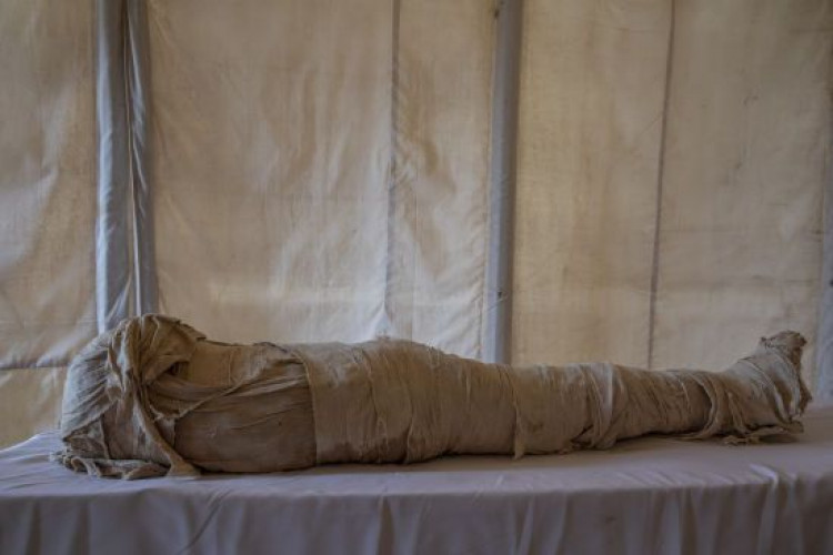 Вчені розгадали моторошну таємницю 2000-річної мумії без голови (GlavPost)