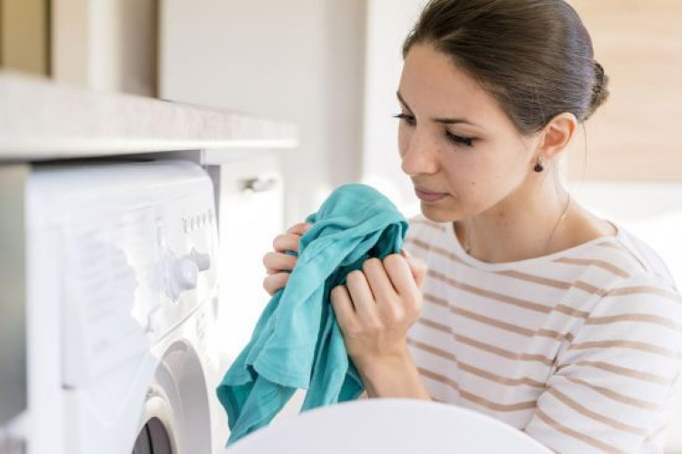 Як позбутися неприємного запаху з пральної машинки й уберегти її від грибка та цвілі (GlavPost)