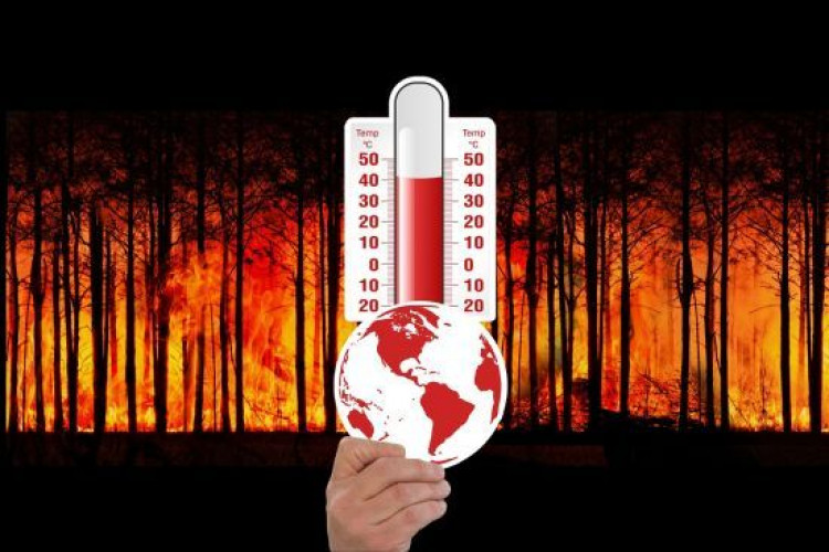 Майбутнє на Землі під загрозою: вчені пояснили, як на це вплине спека (GlavPost)