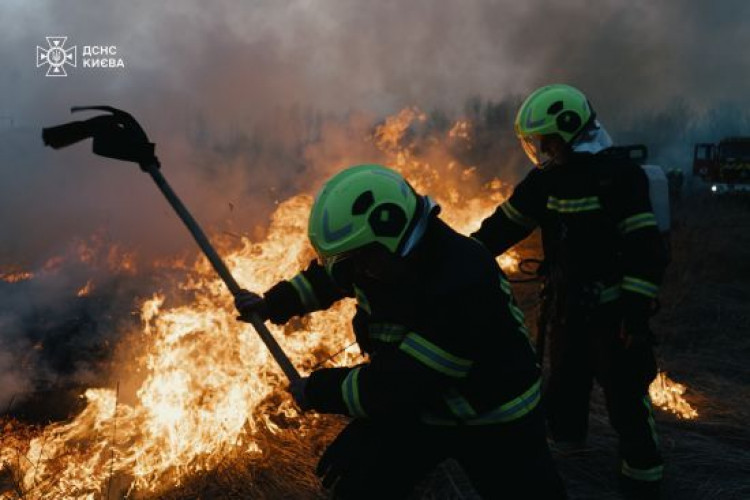 Як рятувальники у Києві ліквідовували масштабну пожежу в екосистемах: з'явилися фото та відео (GlavPost)