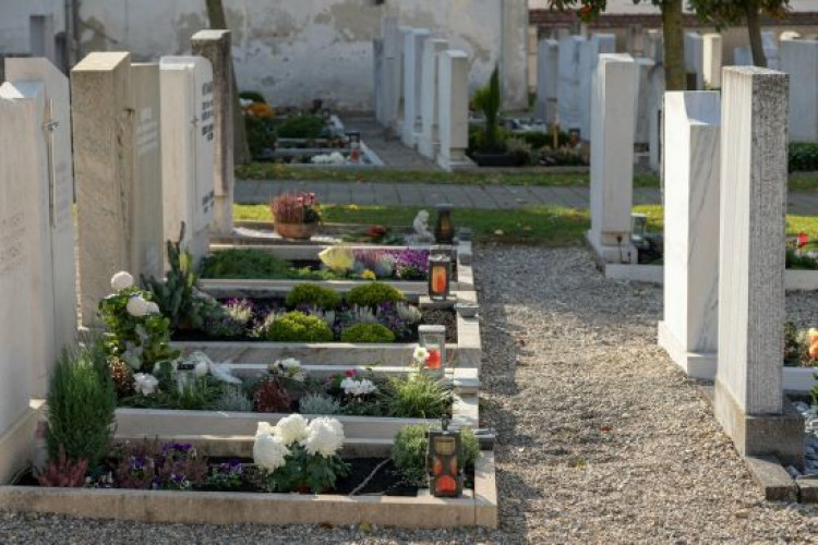 Не лише пластикові квіти: які альтернативи можуть нести українці на кладовище у поминальні дні (GlavPost)